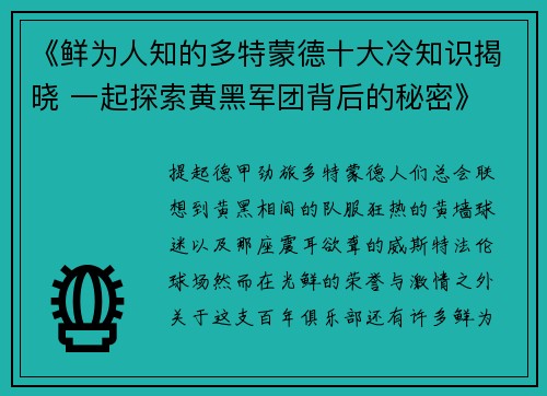 《鲜为人知的多特蒙德十大冷知识揭晓 一起探索黄黑军团背后的秘密》
