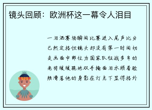 镜头回顾：欧洲杯这一幕令人泪目